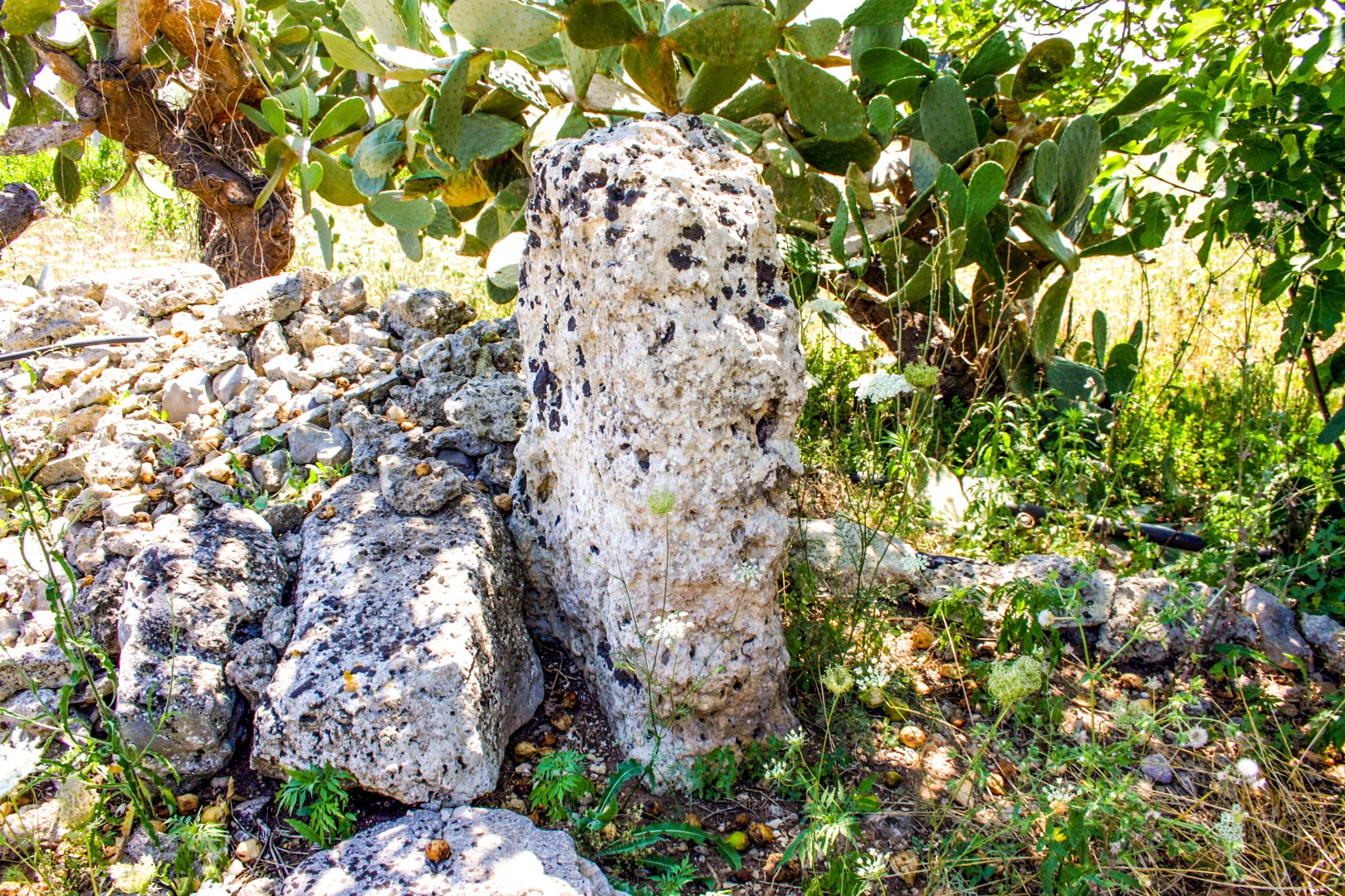 Menhir Pietragrossa_5